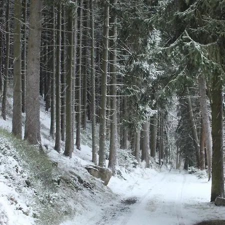 Gasberg Muhle Off Grid Chalet *
